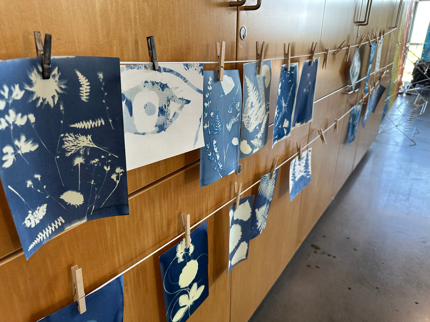 Sun Printing: A Cyanotype Workshop with Sierra Sown | 08/27