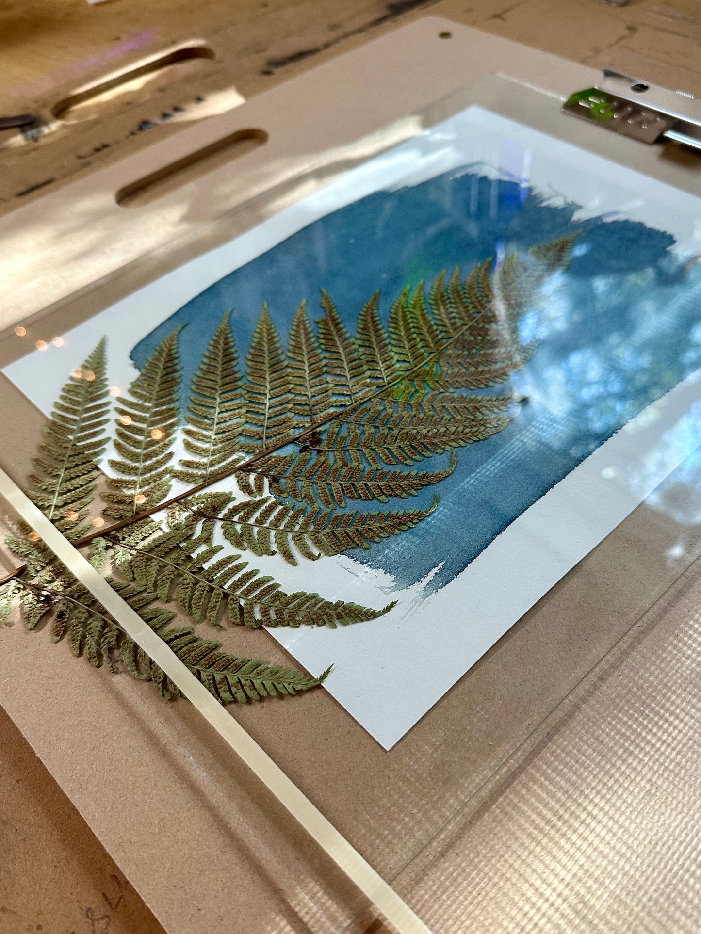 Sun Printing: A Cyanotype Workshop with Sierra Sown | 08/27