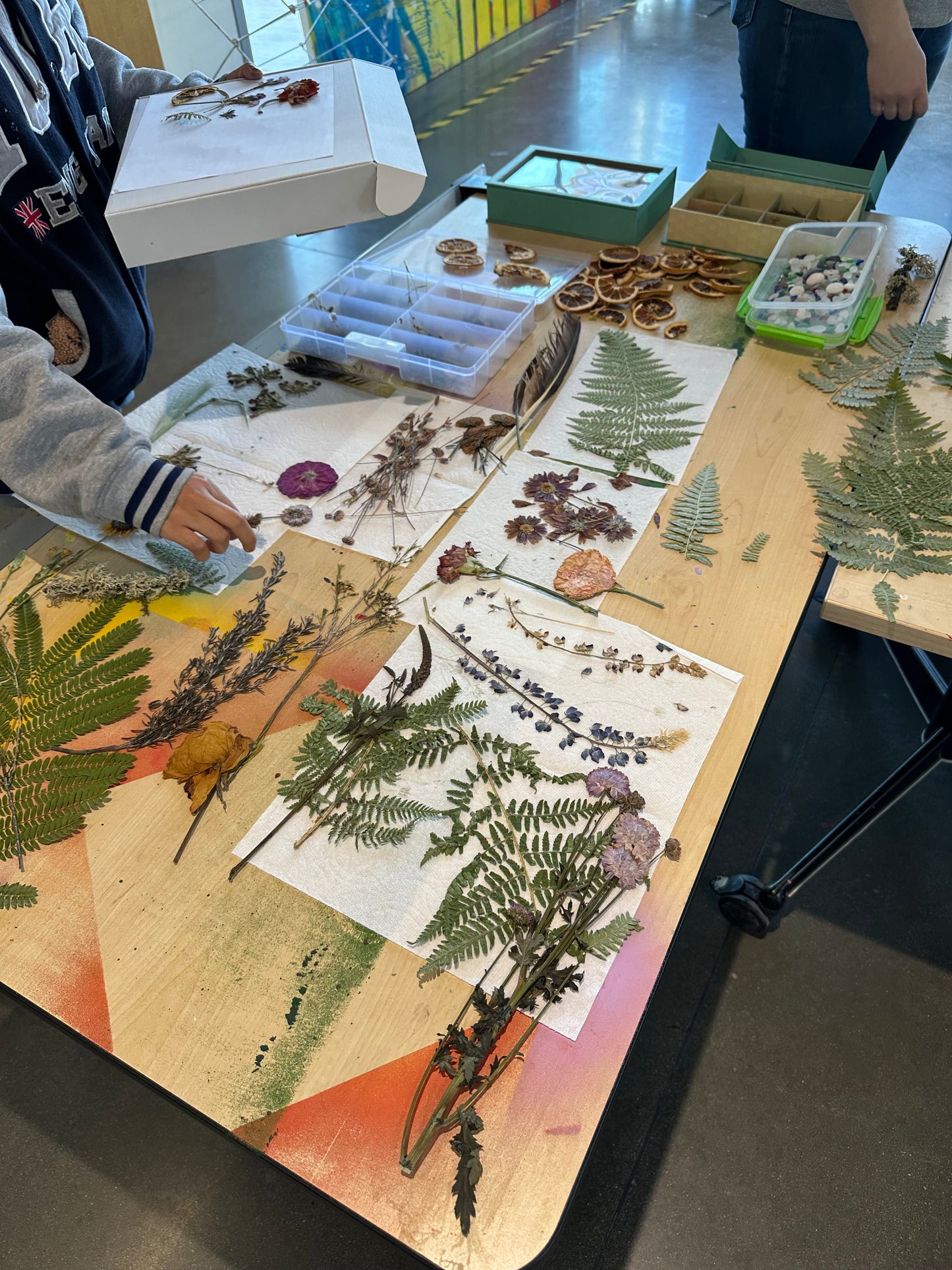 Sun Printing: A Cyanotype Workshop with Sierra Sown | 08/27
