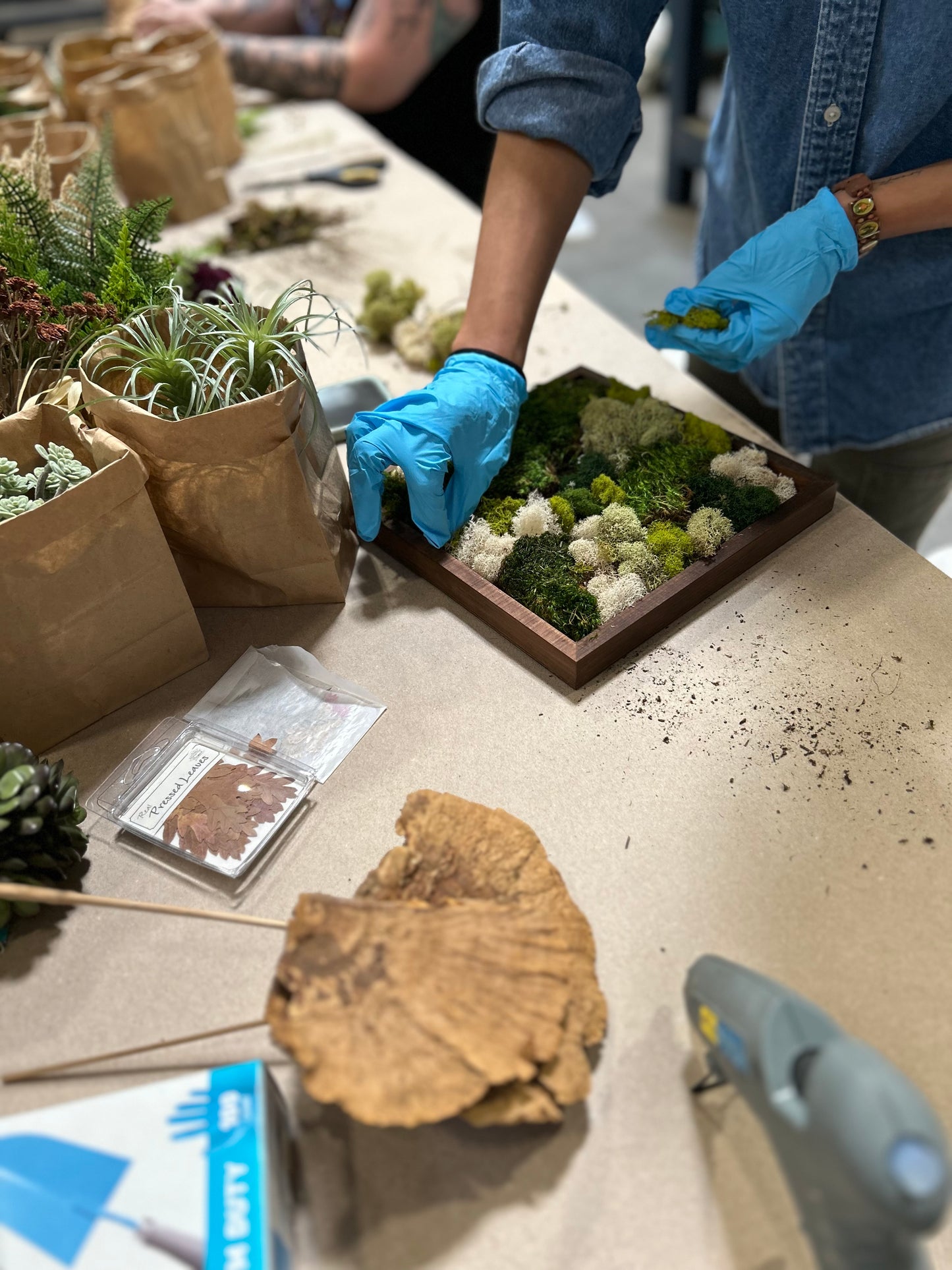 Mini Moss Garden with MonkeyCat Studio | 10/12