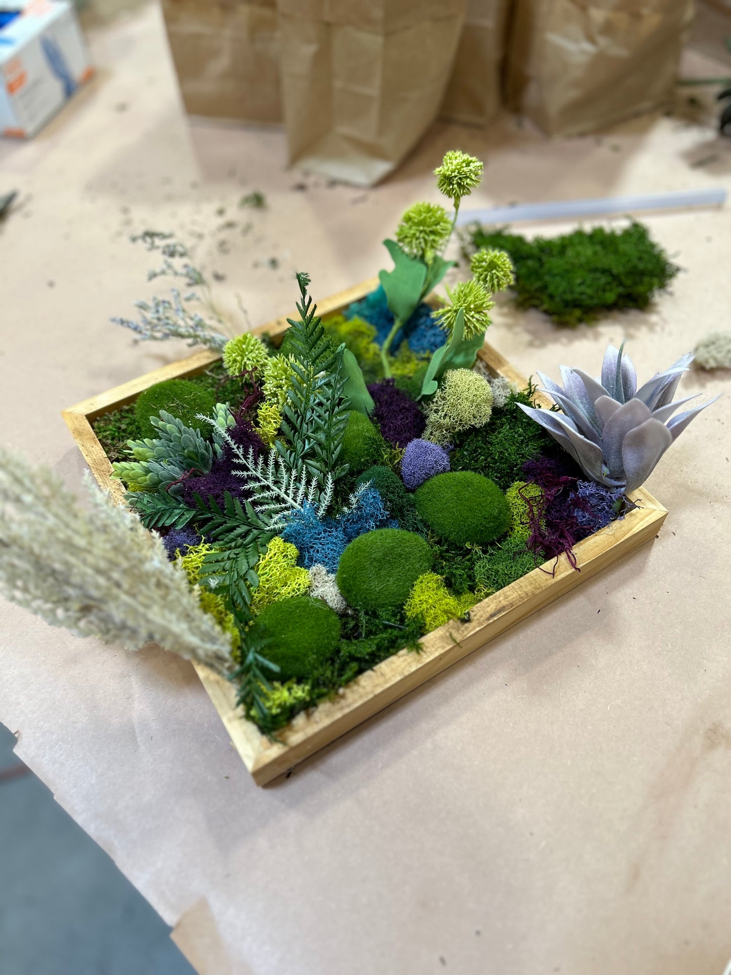 Mini Moss Garden with MonkeyCat Studio | 10/12