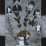 Honor Your Roots: Family Trees with Pressed Foliage w/ The Spirit of Ray | 12/07 | 11AM-1PM