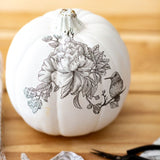 Decoupage Pumpkins with Sonshine Arts | 10/29 | 6-8PM