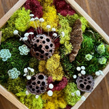 Mini Moss Garden with MonkeyCat Studio | 03/01 | 2-4PM