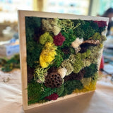 Mini Moss Garden with MonkeyCat Studio | 03/01 | 2-4PM