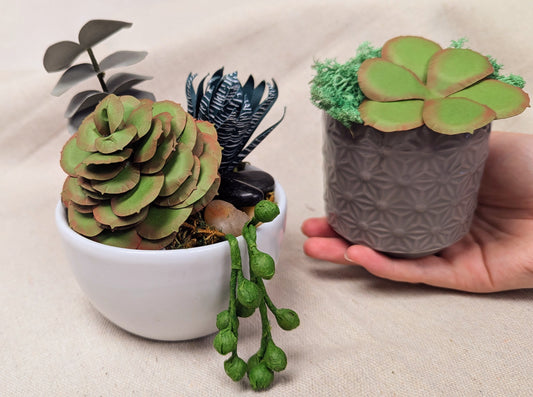 Papercraft Succulents with Mozy Studios | 06/01