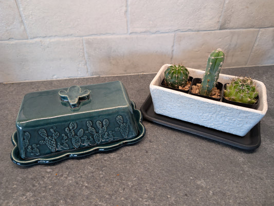Clay Therapy - Build a Butter Dish or Planter | 08/03