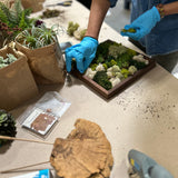 Mini Moss Garden with MonkeyCat Studio | 10/12 | 11AM-1PM