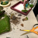 Mini Moss Garden with MonkeyCat Studio | 10/12 | 11AM-1PM