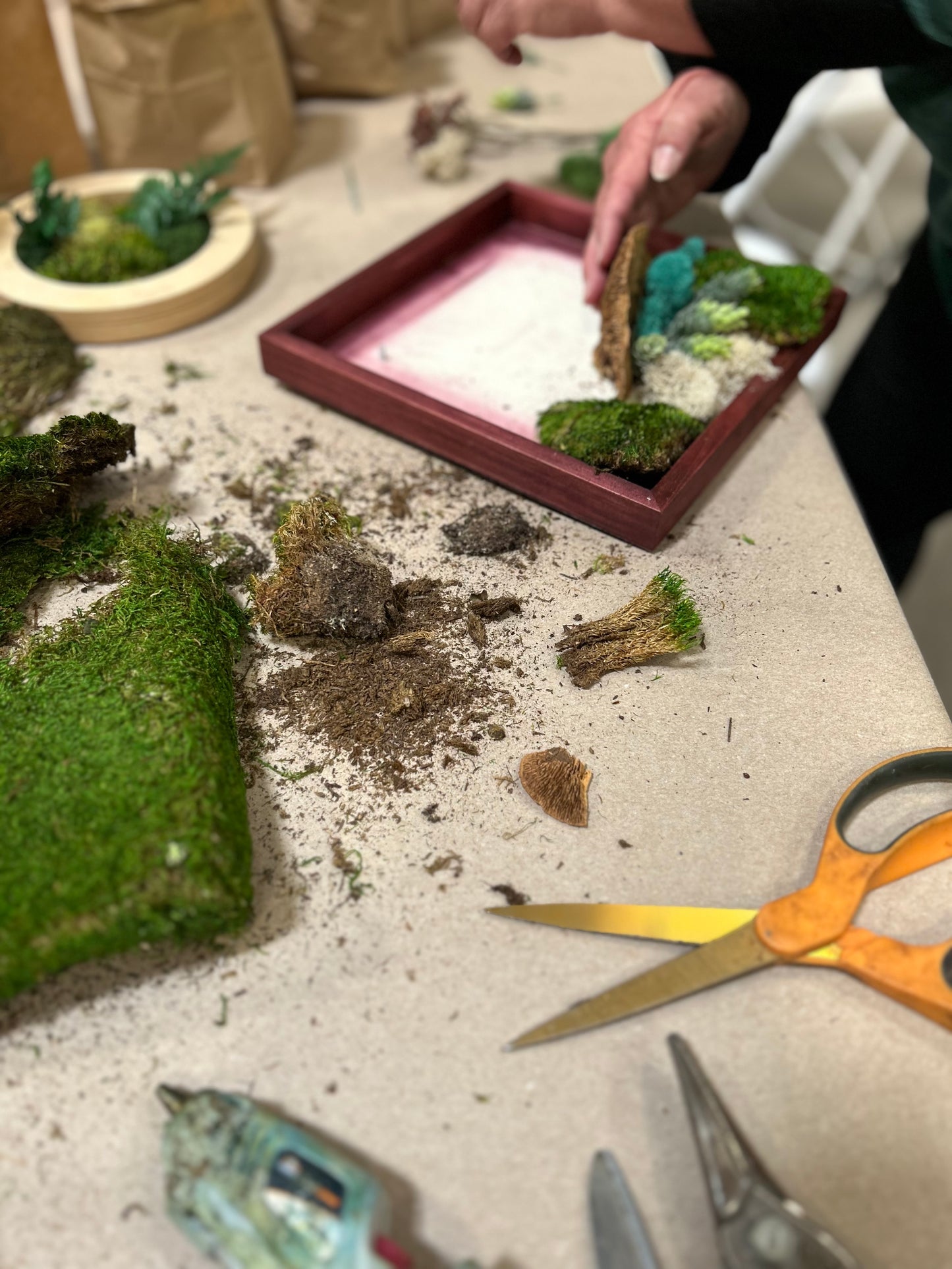 Mini Moss Garden with MonkeyCat Studio | 10/12
