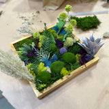 Mini Moss Garden with MonkeyCat Studio | 10/12 | 11AM-1PM