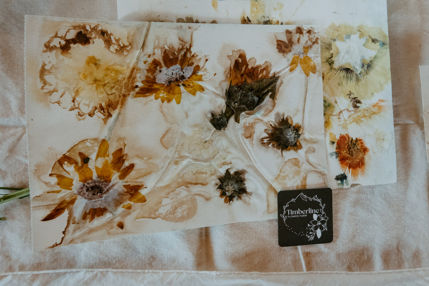 Botanical Dyeing on Silk Scarves with Timberline Flower Farm | 09/21