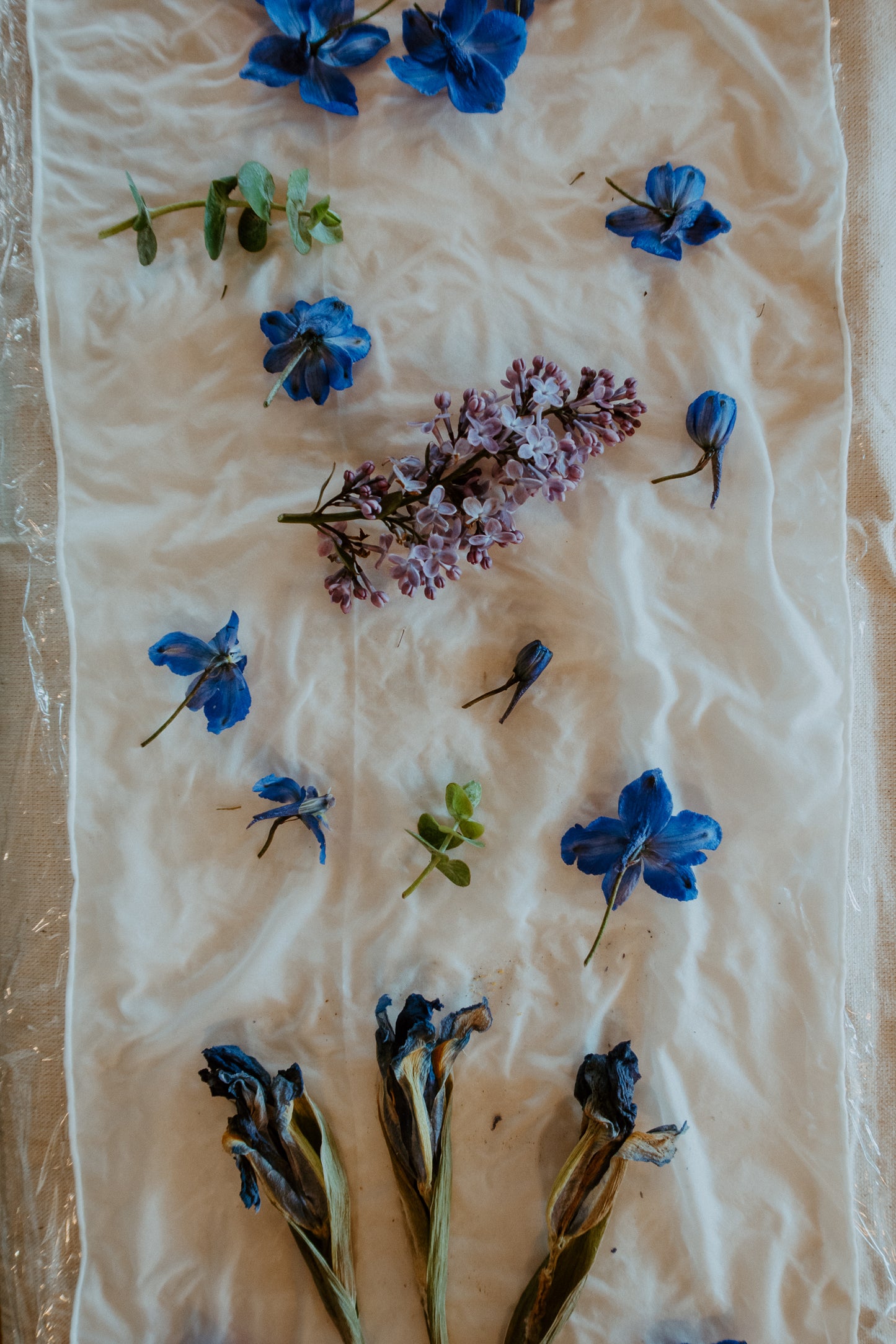 Botanical Dyeing on Silk Scarves with Timberline Flower Farm | 09/21