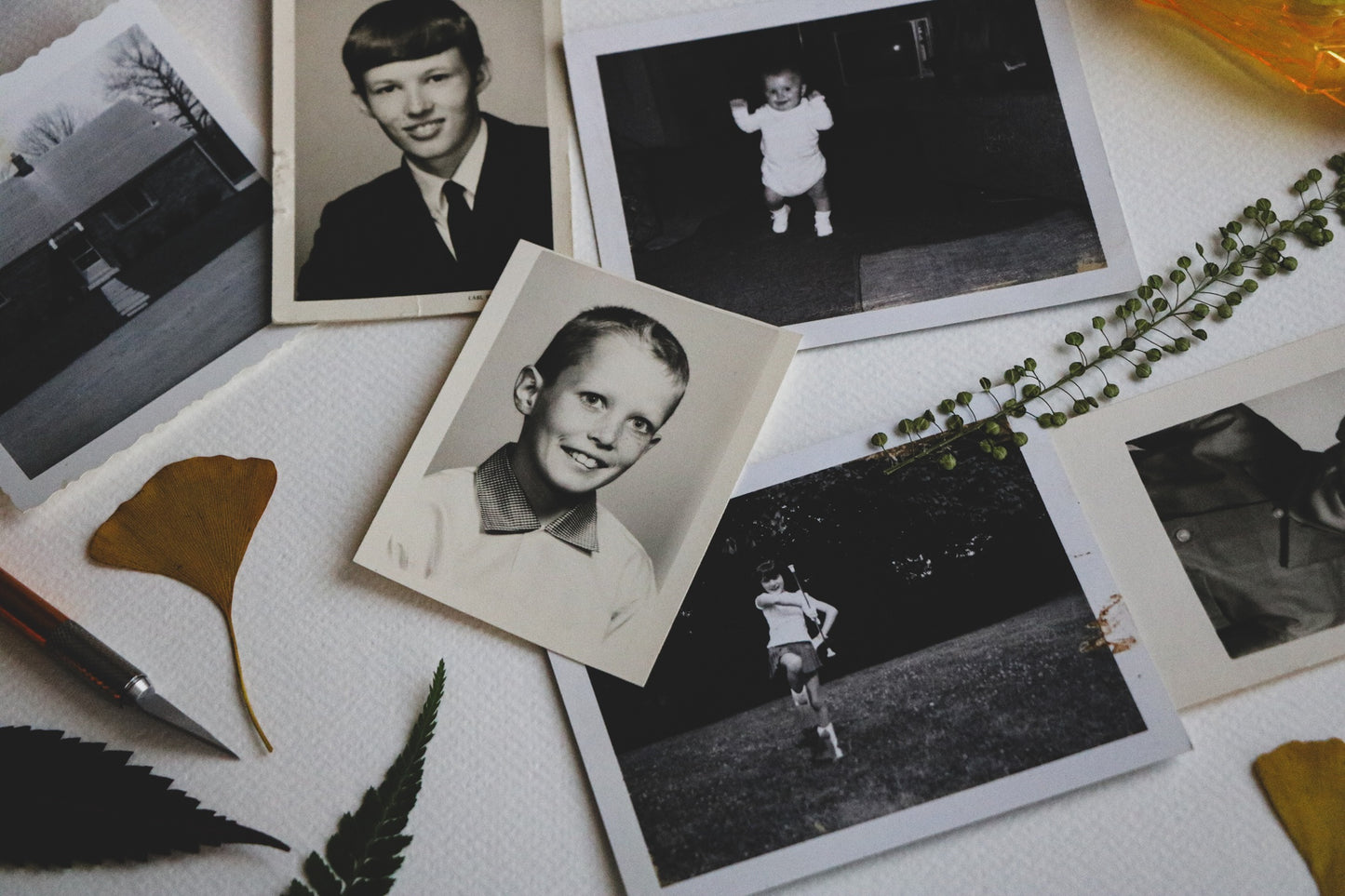 Honor Your Roots with Mindful Art-Making : Family Tree with Pressed Foliage | 12/07