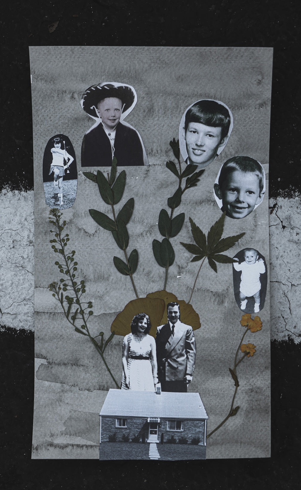 Honor Your Roots with Mindful Art-Making : Family Tree with Pressed Foliage | 12/07