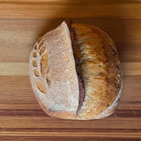 Starter's Guide to Sourdough with Heartfelt Home Co | 10/08 | 6-8PM