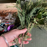Holiday Wreathmaking with Foraged Sierra Evergreens | 11/23 | 2-4PM