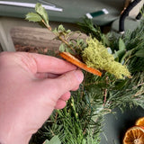 Holiday Wreathmaking with Foraged Sierra Evergreens | 11/23 | 2-4PM