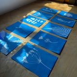 Botanical Bandanas: An Intro to Cyanotype Printing | 04/26 | 11AM-1PM