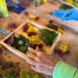 Mini Moss Gardens with MonkeyCat Studio | 05/31 | 2-4PM