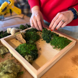 Mini Moss Gardens with MonkeyCat Studio | 05/31 | 2-4PM