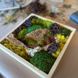 Mini Moss Gardens with MonkeyCat Studio | 06/07 | 2-4PM