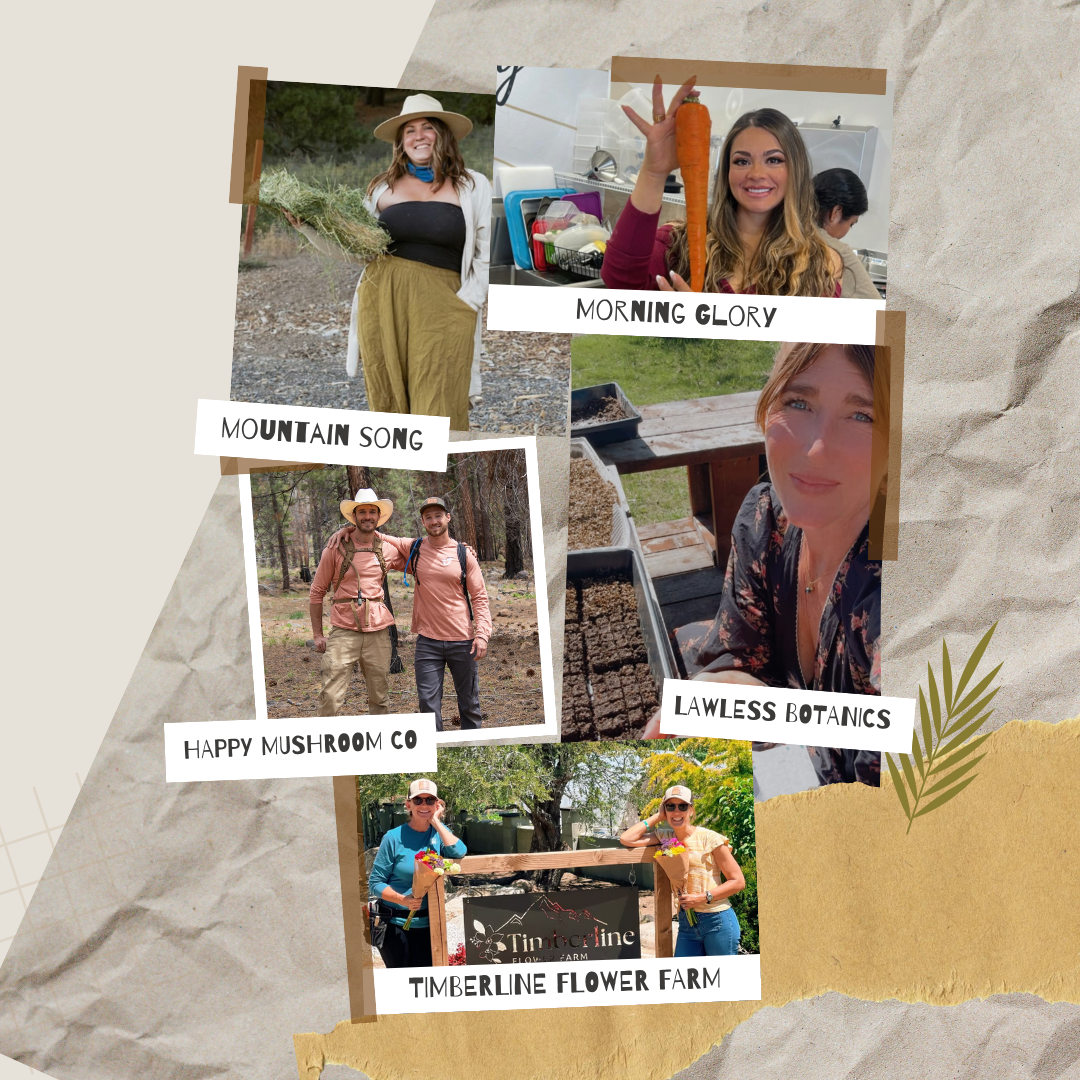 plant magic company Meet the Maker: Plant Magic Edition | 05/30