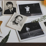 11/01 | Honoring our Roots : Samhain-Inspired Family Tree Workshop with Spirit of Ray