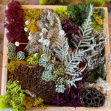Mini Moss Garden with MonkeyCat Studio | 03/01 | 2-4PM