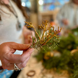 Holiday Wreathmaking with Foraged Sierra Evergreens | 11/22 | 11AM-1PM