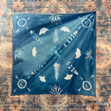 Blooming Mandalas: A Cyanotype Journey with Sierra Sown | 03/22 | 11AM-1PM