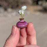 Biggest Little Minis Pop-Up | 11/14 | 12-4PM